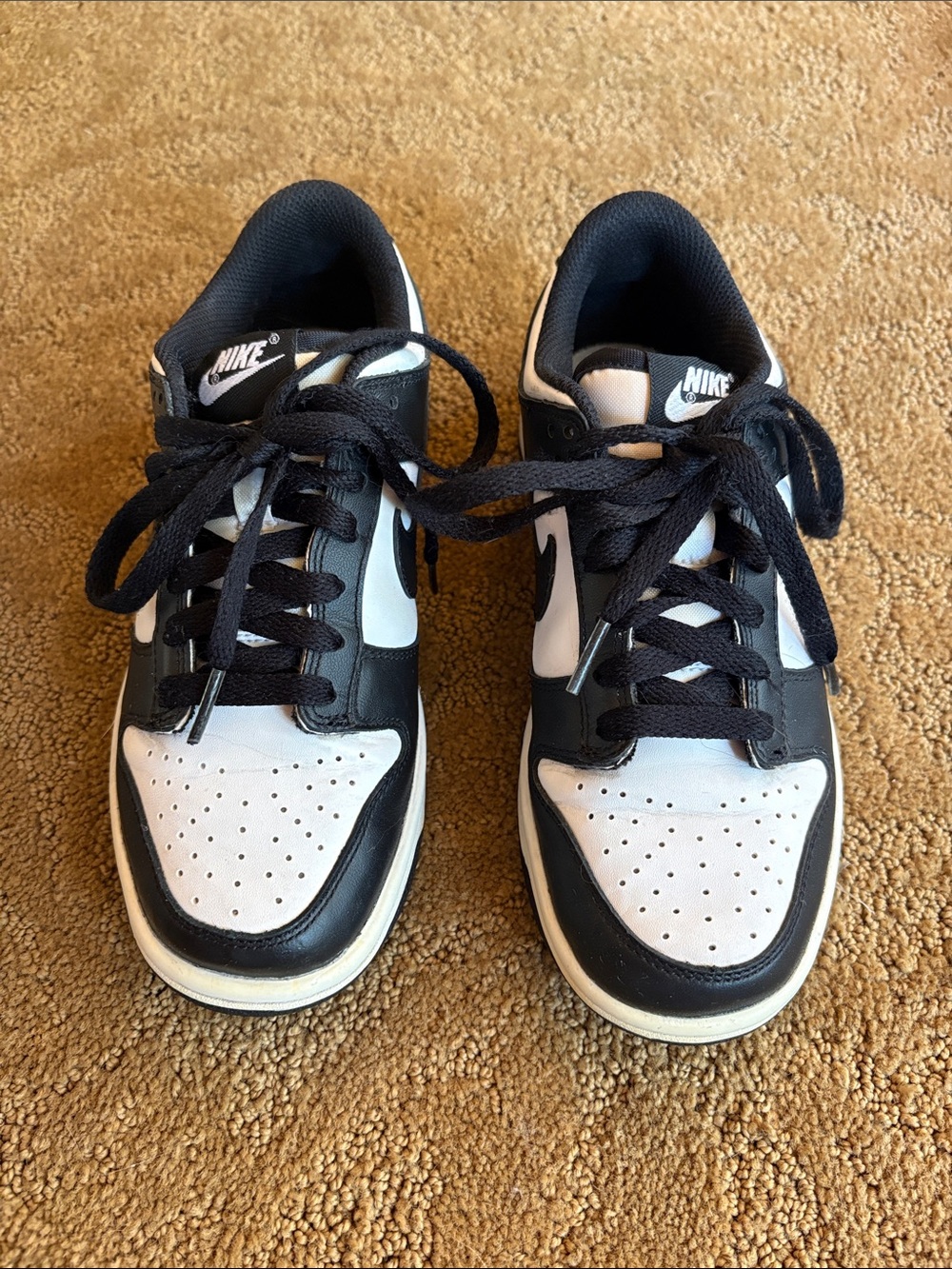 Nike Black and White Dunks